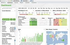 QlikView Screenshot #5